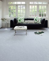 What's the biggest carpet cleaning mistake?