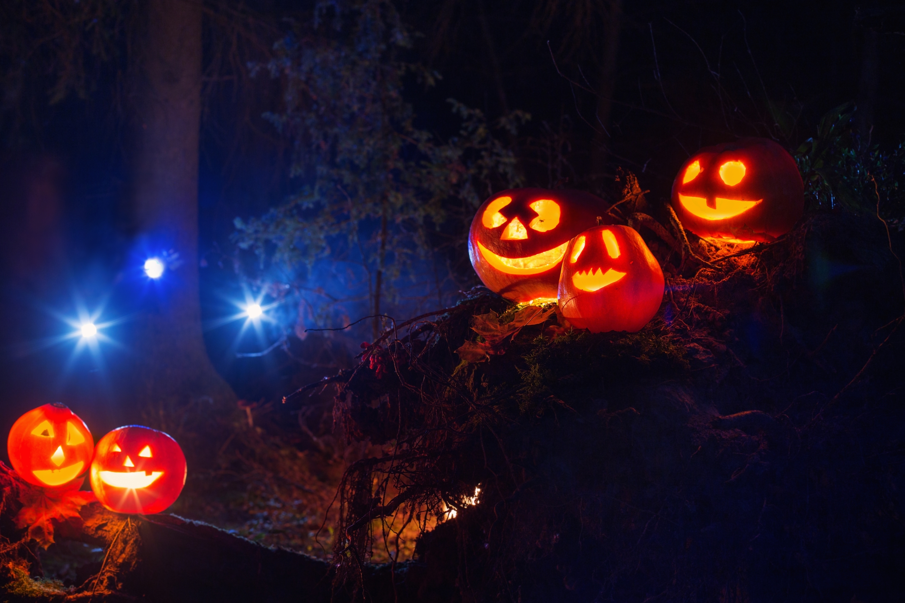 Trick or Treat at Howl-O-Ween at Turtle Back Zoo